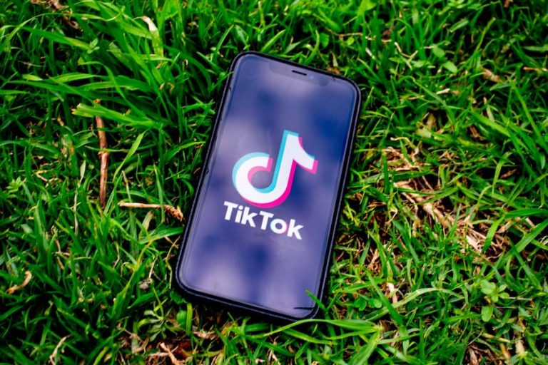 reseau social 2022 tiktok