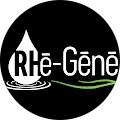 RHE GENERATION